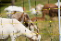 Schafnetz horinetz 120 cm – 50 m, elektrifizierbar mit Doppelspitze