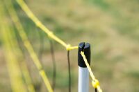 Schafnetz horinetz 120 cm – 50 m, elektrifizierbar mit Doppelspitze
