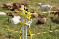 Schafnetz horinetz mit Erdungsleiter 120 cm – 50 m, elektrifizierbar