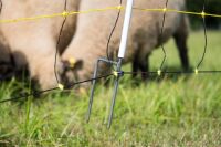 Schafnetz horinetz high energy mit Erdleiter | 90 cm hoch | 50 m lang | Doppelspitze | elektrifizierbar