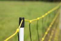 Schafnetz horinetz high energy mit Erdleiter | 90 cm hoch | 50 m lang | Doppelspitze | elektrifizierbar