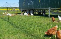 Geflügelnetz farmer® 110 cm – 50 m, elektrifizierbar mit Fiberglaspfählen & Doppelspitze