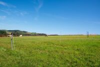 Schafnetz farmer®| Fiberglaspfähle | 90 cm hoch | 50 m lang | elektrifizierbar | Doppelspitze