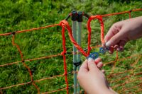 Schafnetz farmer®| Fiberglaspfähle | 90 cm hoch | 50 m lang | elektrifizierbar | Doppelspitze
