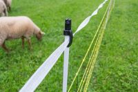 Wolfabwehrnetz horinetz super plus – 50 m, 90/120 cm, elektrifizierbar