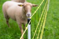 Wolfabwehrnetz horinetz super plus – 50 m, 90/120 cm, elektrifizierbar