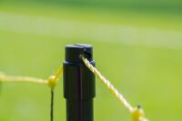 Wolfsabwehrnetz | 145 cm hoch | 50 m lang | Doppelspitze | elektrifizierbar