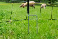 Wolfsabwehrnetz | 145 cm hoch | 50 m lang | Doppelspitze | elektrifizierbar