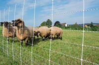 Schafnetz turbomax extra 90 cm – 50 m, elektrifizierbar mit Einzelspitze