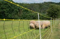 Schafnetz horinetz 90 cm – 50 m, elektrifizierbar mit Einzelspitze