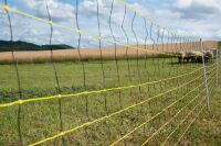 Schafnetz horinetz 105 cm – 50 m, elektrifizierbar mit Einzelspitze