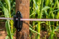 Weidezaunband hotshock® T12 - TBmax | 250 m | 12 mm | 4 Leiter