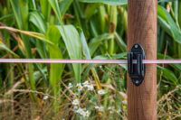 Weidezaunband hotshock® T12 - TBmax | 250 m | 12 mm | 4 Leiter