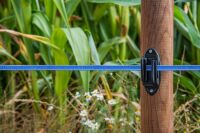 Weidezaunband hotshock® T12 | 200 m |12 mm | 6 Leiter