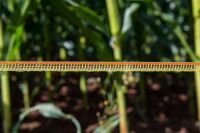 Weidezaunband farmer® T10-O | 200 m | 10 mm | 3 Leiter