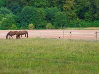 Weidezaunband farmer® T40-W | 200 m | 40 mm | 8 Leiter
