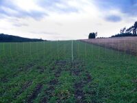 Schafnetz livestok | 90 cm hoch | 50 m lang | Doppelspitze| elektrifizierbar