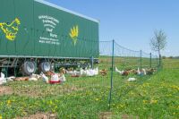 Geflügelnetz ranger® security 105 cm – 50 m, Einzelspitze ohne Strom