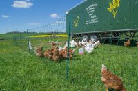 Geflügelnetz ranger® security 105 cm – 25 m, ohne Stromleiter