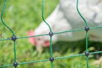 Geflügelnetz ranger® security 105 cm – 50 m, Doppelspitze ohne Strom