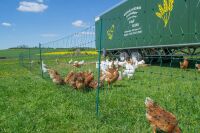 Geflügelnetz ranger® security 105 cm – 25 m, Doppelspitze ohne Strom