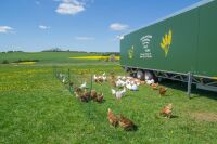 Geflügelnetz ranger® security 105 cm – 25 m, Doppelspitze ohne Strom