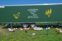 Geflügelnetz ranger® security 105 cm – 25 m, Doppelspitze ohne Strom