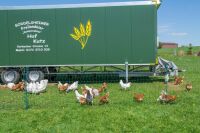 Geflügelnetz ranger® security 105 cm – 25 m, Doppelspitze ohne Strom