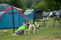 Hundezaun STRONGLINE 110 – 110 cm hoch, 25 m mobil & extra stabil