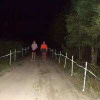 Weidezaunband reflect T20 | 200 m | 20 mm | weiß