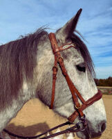 Englisches Reithalfter, sehr weich unterlegte...