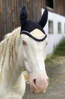 Fliegenmütze, Fliegenhaube Glitzer schwarz-rosegold