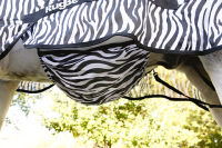 RugBe Zebra Fliegendecke und Ekzemerdecke mit Halsteil
