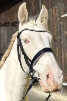 Schwedischer Trensenzaum, schwarz, glitzer, inklusive Zügel mit Grip, Reithalfter ohne Sperriemen