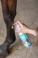 Kühlgel equifresh für Pferd und Reiter mit Arnika, Menthol, Ginkgo und Kamille