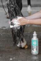 Pferdeshampoo mit Weizenproteinen MagicBrush