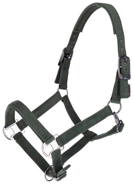 Halfter Samt grün inklusive Strick