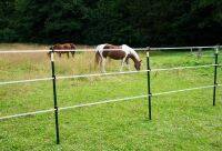 T-Pfosten ECO 1,67 m – stabiler Metallpfahl für Weidezäune, Wildschutz & Garten, 10er Bund