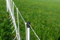 Schafnetz turbomax High Energy Braided 120 cm – 50 m, Doppelspitze