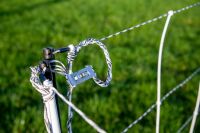 Schafnetz turbomax High Energy Braided 120 cm – 50 m, Doppelspitze