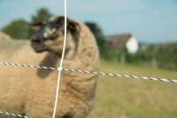 Ziegennetz turbomax 105 cm – 50 m, elektrifizierbar mit Doppelspitze