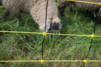 Schafnetz horinetz 105 cm – 50 m mit Doppelspitze
