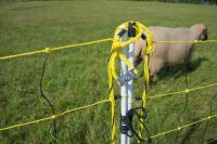 Schafnetz horinetz 105 cm – 50 m mit Doppelspitze