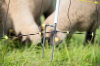 Schafnetz horinetz 105 cm – 50 m mit Doppelspitze