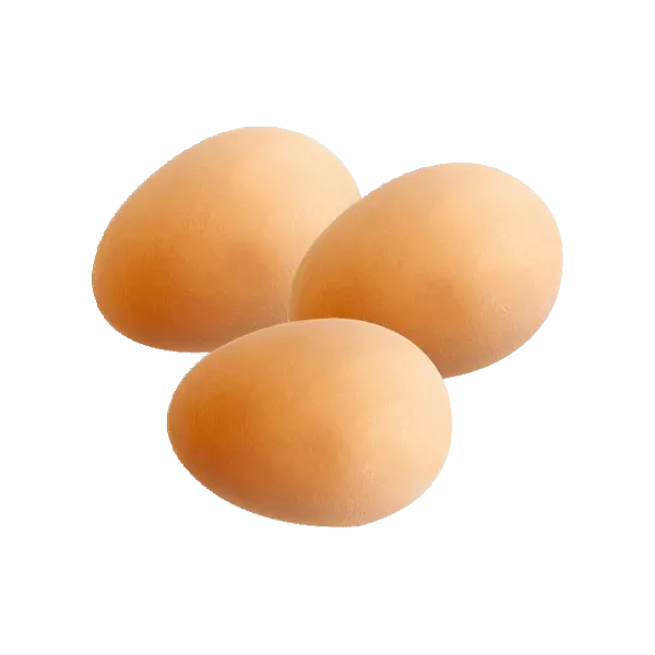 Nesteier für Geflügel Gummi 3er set