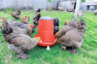 Hühnerfutterautomat DELUXE | Mit Deckel (12 kg)