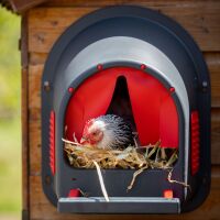 Legenest "MyCozyNest" für Hühner (rot)