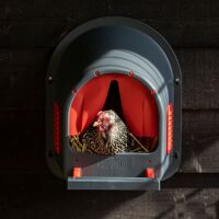 Legenest "MyCozyNest" für Hühner (rot)