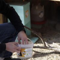 Diatomeenerde Kieselgur (1 kg)