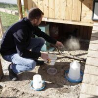 Diatomeenerde Kieselgur (1 kg)